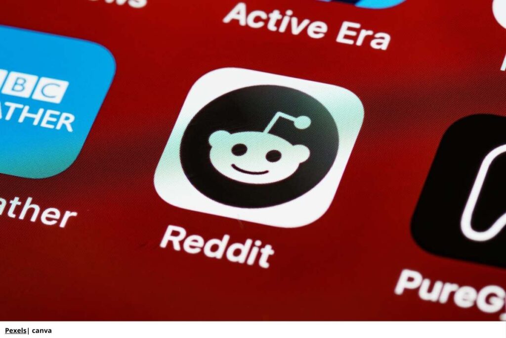 moderación Reddit