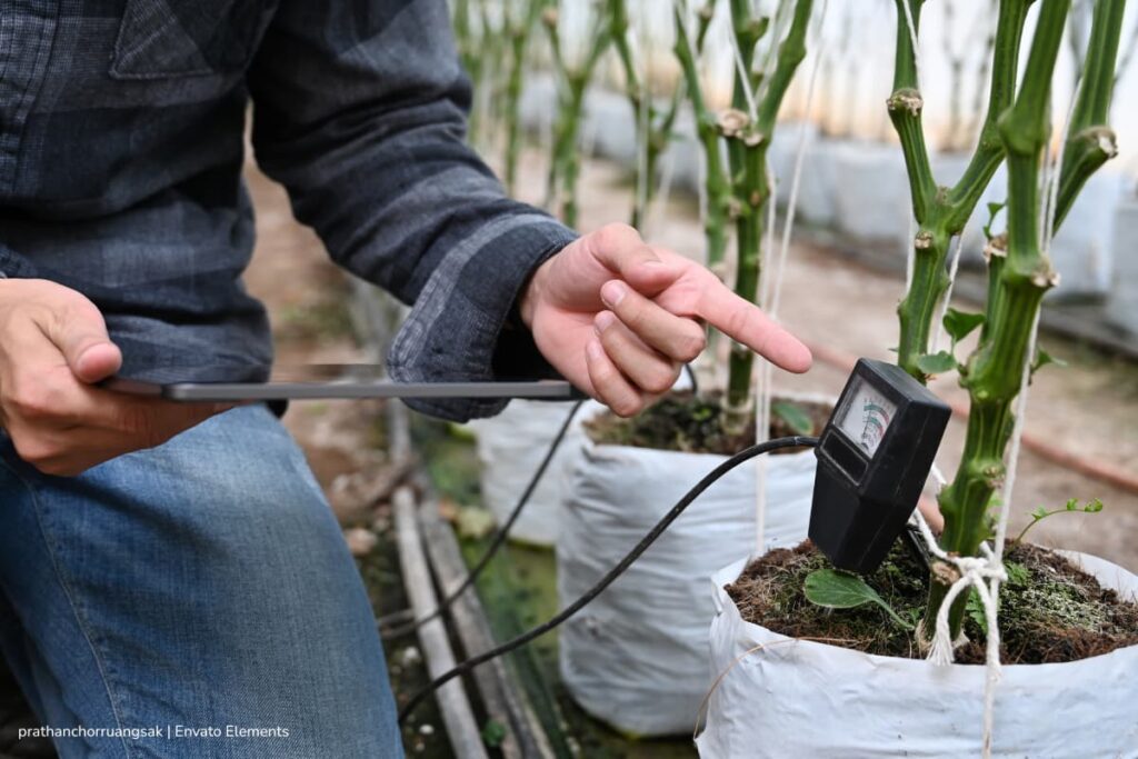 monitoreo de cultivos, estrés de las plantas, señales eléctricas de las plantas, Evaluando las señales eléctricas de las plantas, Más Tecnología