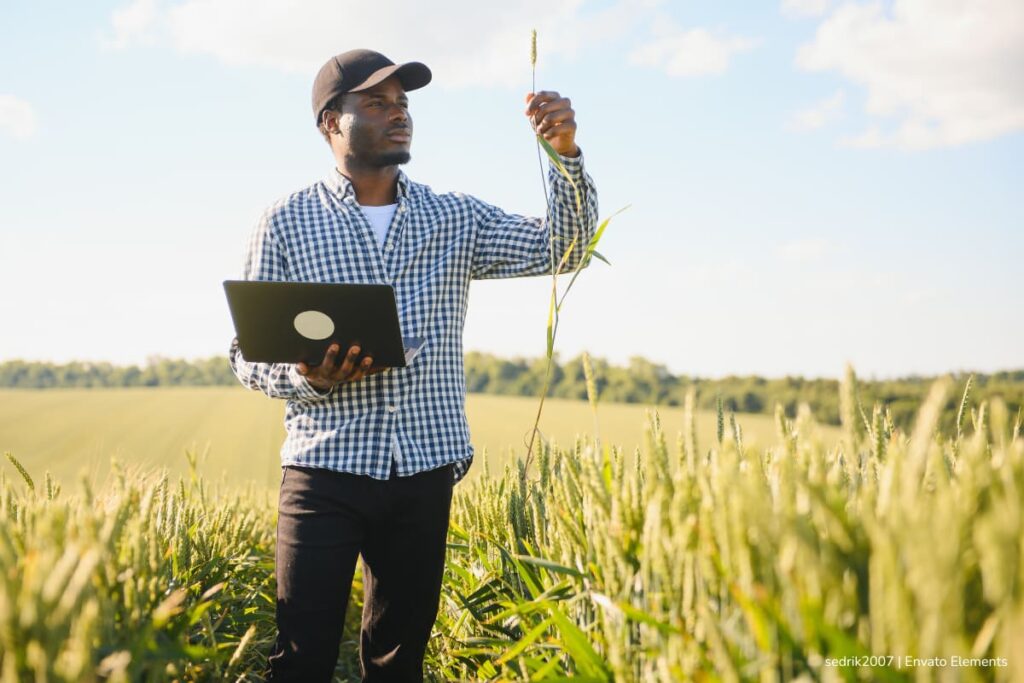 monitoreo de cultivos, estrés de las plantas, señales eléctricas de las plantas, Hombre evaluando el estrés de las plantas, Más Tecnología