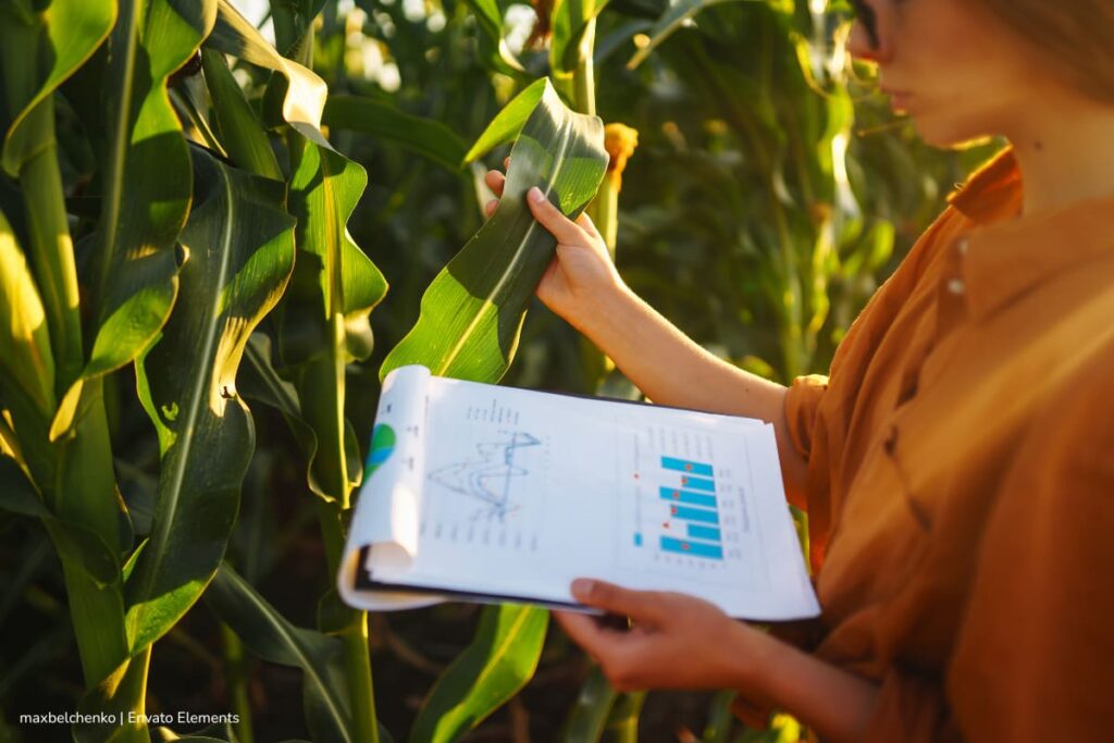 monitoreo de cultivos, estrés de las plantas, señales eléctricas de las plantas, Persona estudiando el comportamiento de cultivos, Más Tecnología